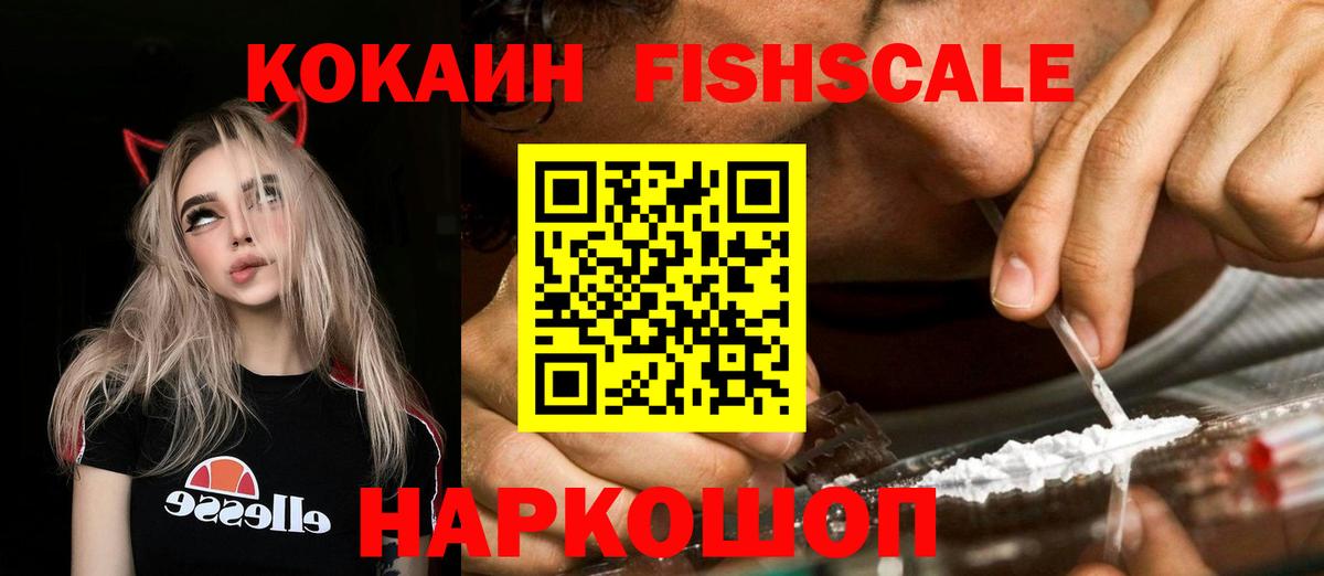где купить наркотик  COCAIN Fish Scale  Вход с VPN  КОКАИН 99%  Кудрово 