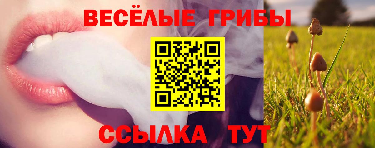 Псилоцибиновые грибы мухоморы Кудрово