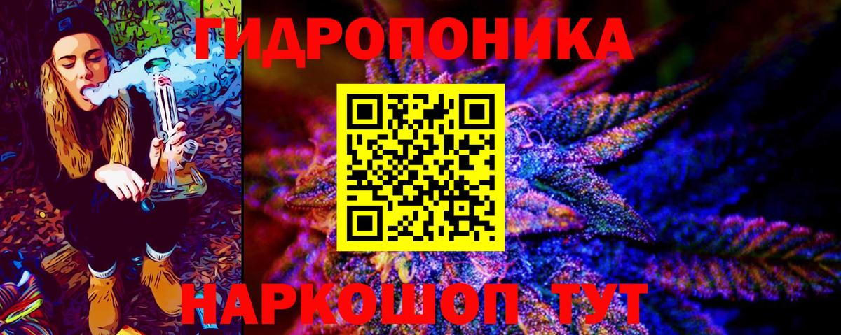 Конопля планчик  Бошки Шишки SATIVA & INDICA  Вход с VPN  Кудрово  Каннабис сатива 