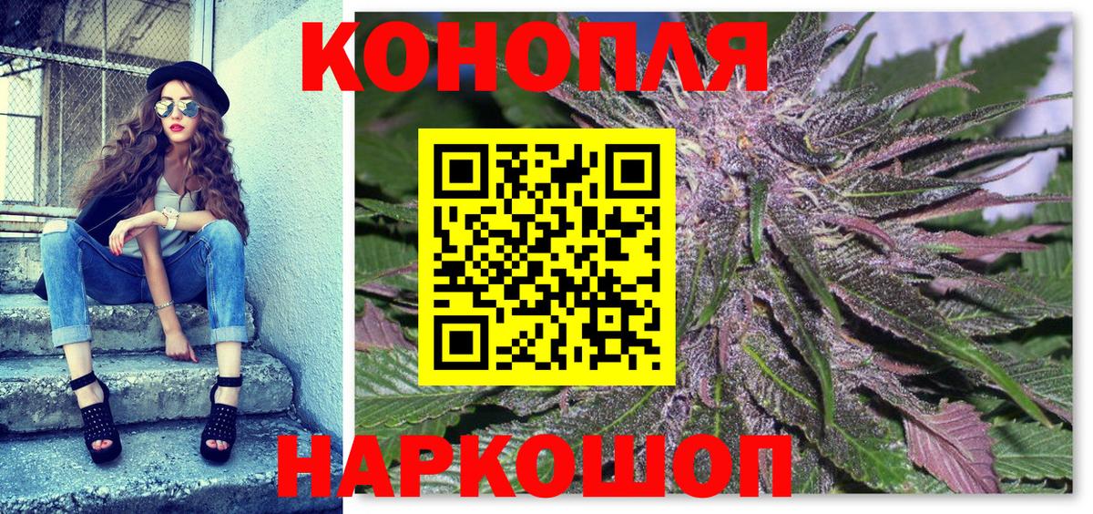 Шишки марихуана конопля Кудрово